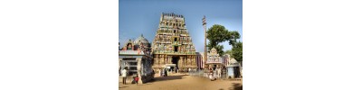 திருநாகேஸ்வரம் 